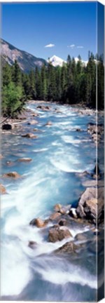 Framed Yoho River, British Columbia, Canada Print