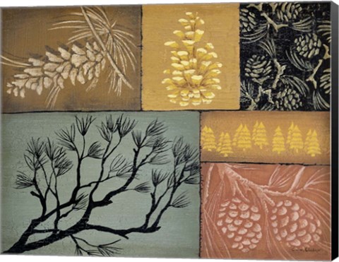 Framed Pine Cones 3 Print