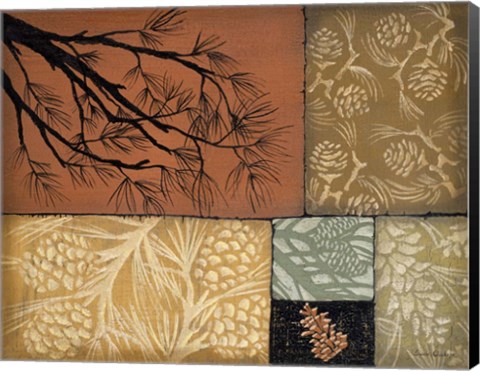 Framed Pine Cones 4 Print