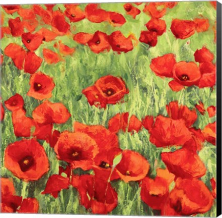 Framed Poppies Print