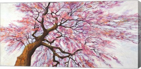 Framed Sotto l'albero in Fiore Print