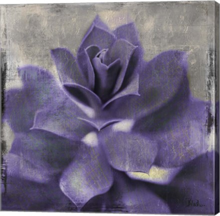 Framed Lavender Succulent I Print