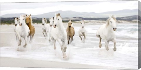Framed Horses on the beach (detail) Print