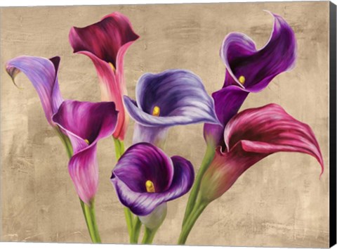 Framed Multi-colored Callas Print