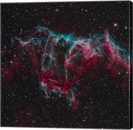 Framed NGC 6995, the Bat Nebula Print