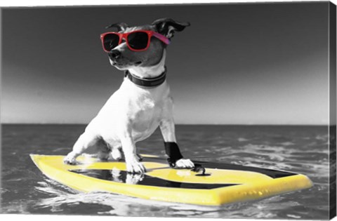 Framed Pop of Color Surf's Up Dog Print
