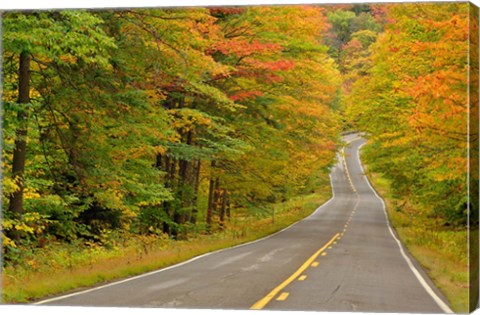 Framed Roadway through White Mountain National Forest, New Hampshire Print