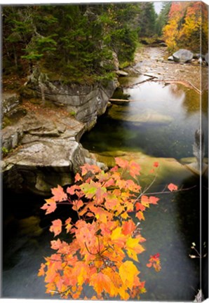 Framed Upper Falls on the Ammonoosuc River, White Mountains, New Hampshire Print