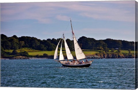 Framed Sailing in Newport, Rhode Island Print