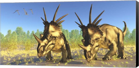 Framed flock of Pterodactylus fly above two Styracosaurus Dinosaurs Print