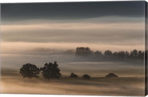 Framed Dense Fog Over The Moos Print