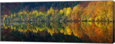 Framed Autumnal Silence Print