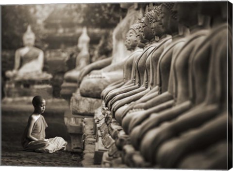 Framed Young Buddhist Monk praying, Thailand (sepia) Print