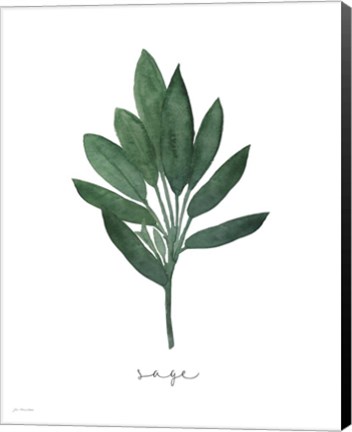 Framed Sage Botanical Print