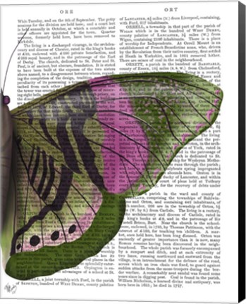 Framed Butterfly in Green and Pink b Print