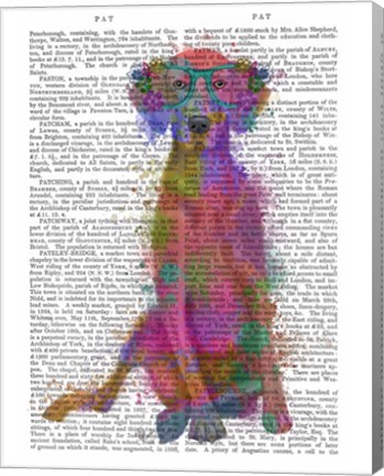 Framed Rainbow Splash Weimaraner, Full Print