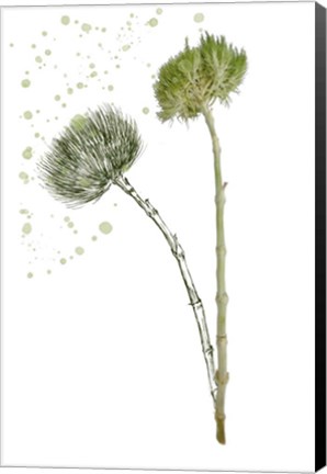 Framed Botany Flower V Print