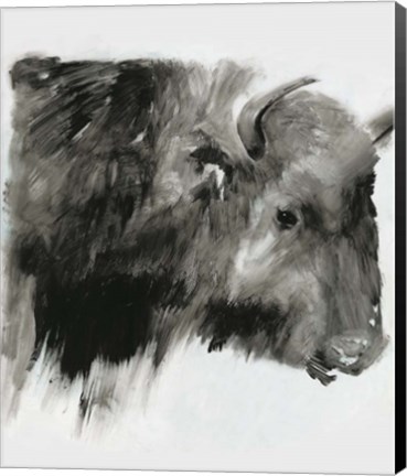 Framed Black Bison Print