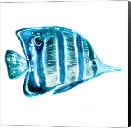 Framed Fish III Print