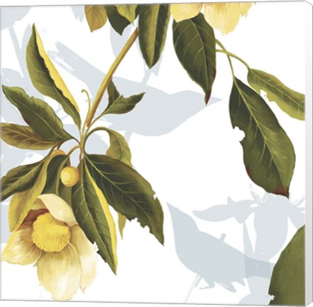 Framed Lemon Floral Print