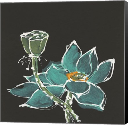 Framed Lotus on Black I Print