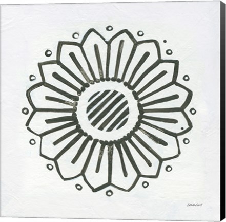 Framed Patterns of the Amazon Icon IX Print