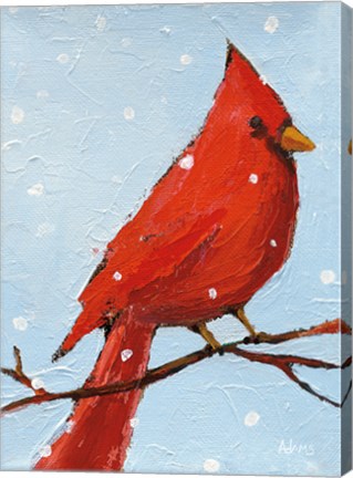 Framed Cardinal I Print