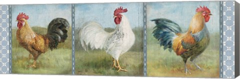 Framed Noble Roosters V Print