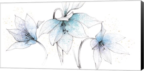 Framed Blue Graphite Floral Trio Print