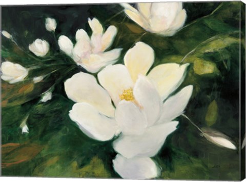 Framed Magnolia Blooms Print