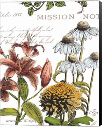 Framed Botanical Postcard Color II Print