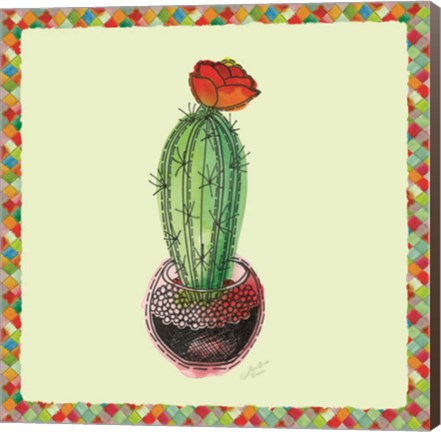 Framed Rainbow Cactus I Print