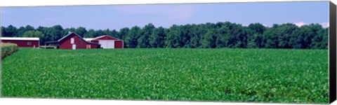 Framed Green Field with Barn, Maryland Print