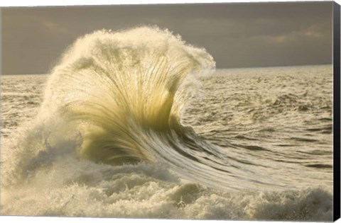 Framed Waves in the Pacific Ocean, San Pedro, Los Angeles, California Print