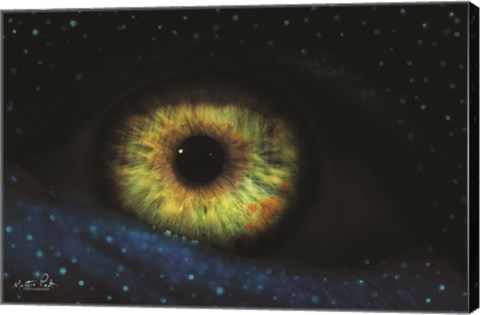 Framed Eye Print