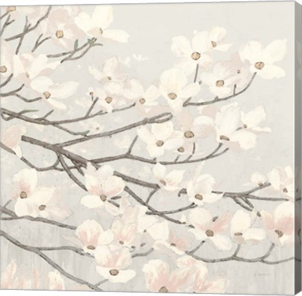 Framed Dogwood Blossoms II Gray Print
