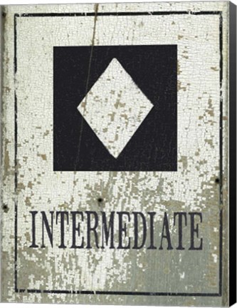 Framed Intermediate Print