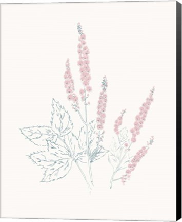 Framed Flowers on White VII Contemporary Print