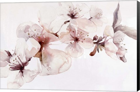 Framed Watercolor Blossoms I Print