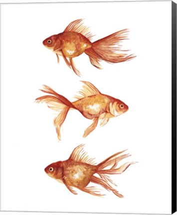Framed Ornamental Goldfish III Print