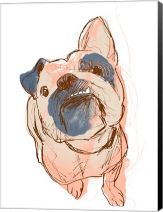 Framed Dog Portrait--Bobo Print