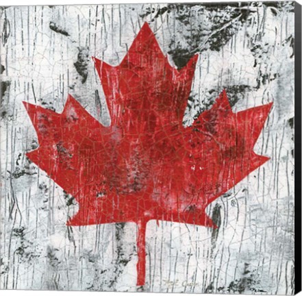 Framed Canada Maple Leaf I Print