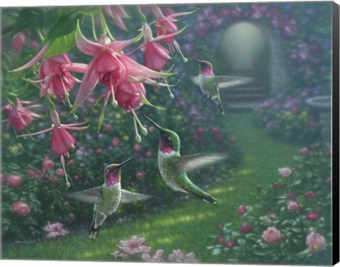 Framed Hummingbird Haven Print