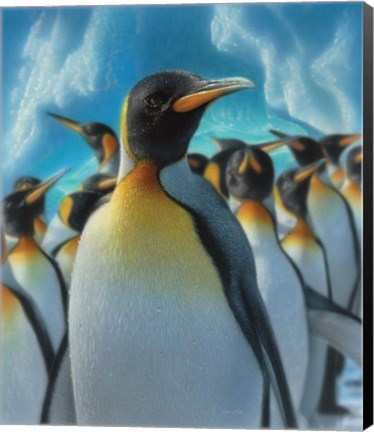 Framed Penguin Paradise Print