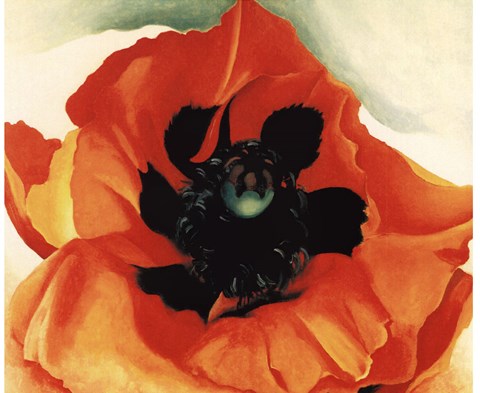 Framed Poppy, 1927 Print
