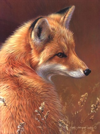 Framed Curious- Red Fox Print