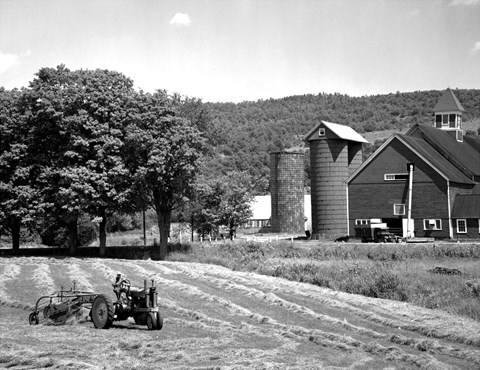 Framed Tractor Raking a Field, East Ryegate, Vermont, USA Print