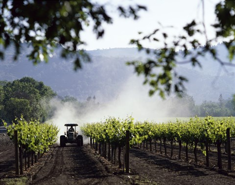Framed Tractor in a field, Napa Valley, California, USA Print