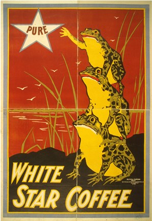 Framed White Star Coffee Frogs Print