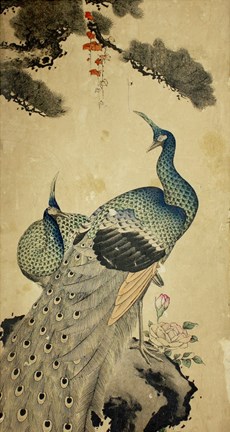 Framed Korean Peacocks Print
